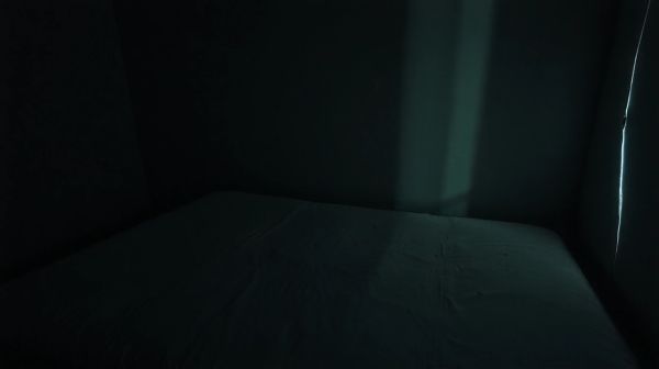 Comment prévenir une infestation de punaises de lit dès maintenant